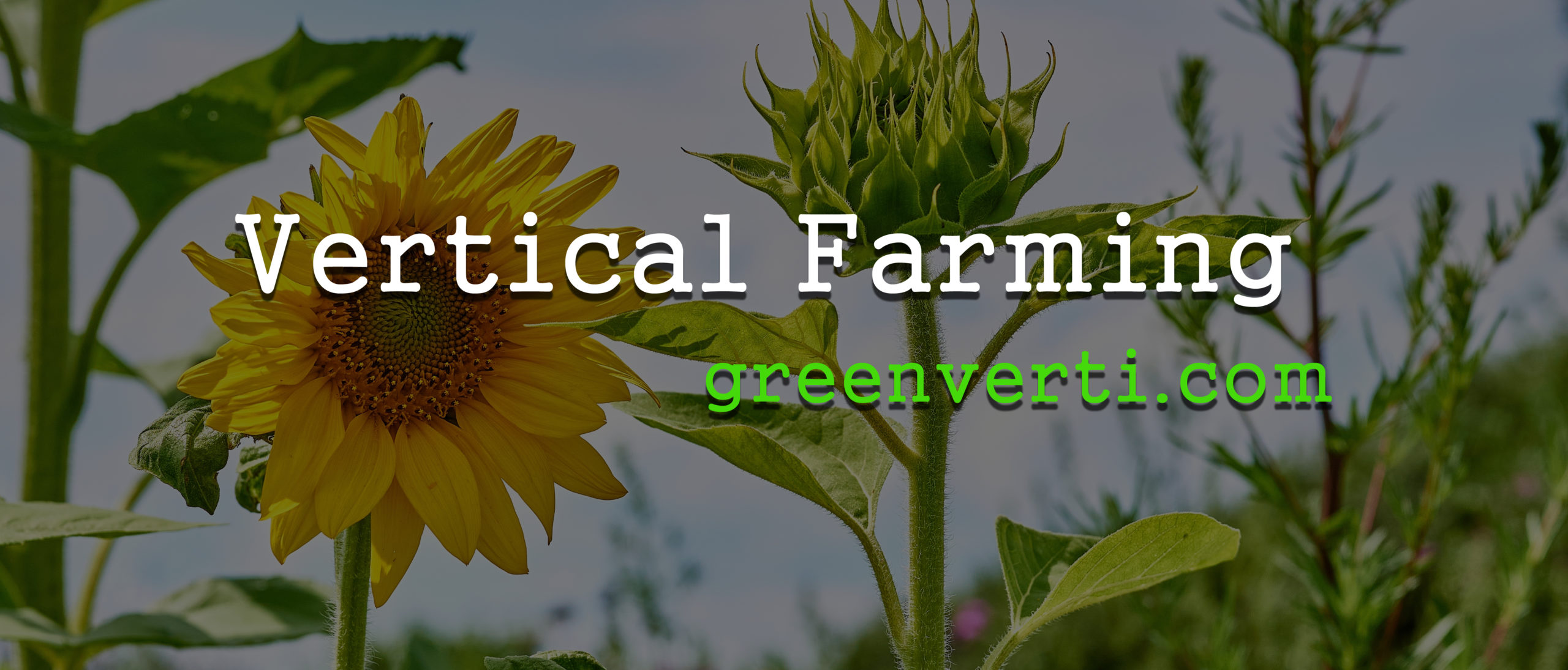 About Vertical Farming site greenverti.com