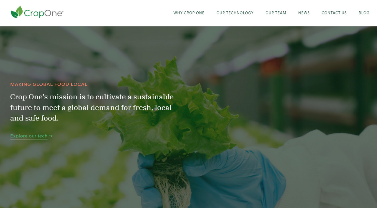 CropOne main page, Top 20 Vertical Farming Companies