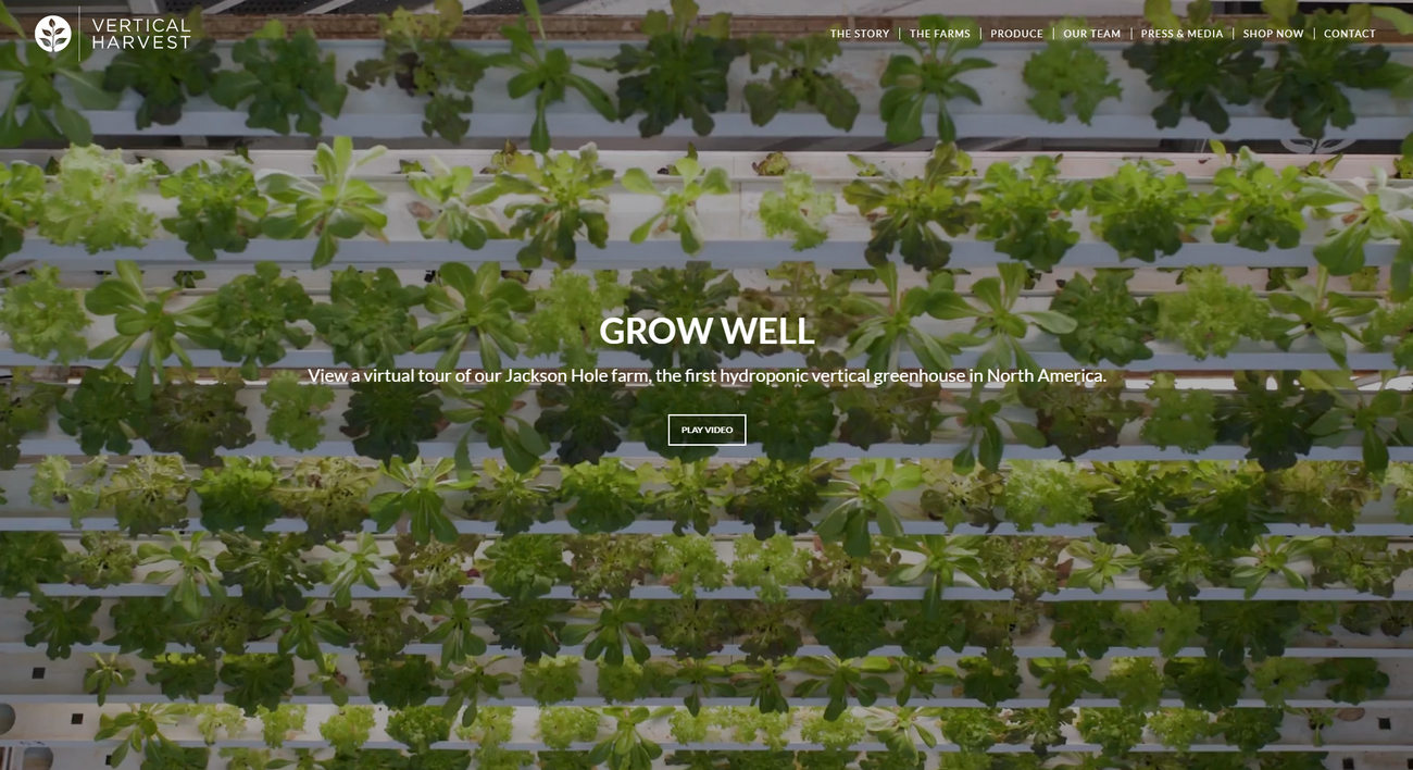 Vertical harvest company main page